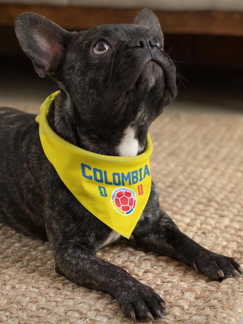 FIFA World Cup 2026 Dog Bandana Collar | Custom Soccer Fan Pet Gear