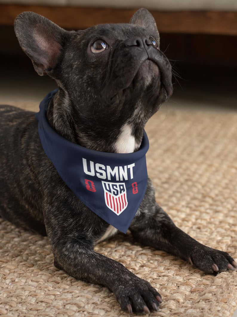 FIFA World Cup 2026 Dog Bandana Collar | Custom Soccer Fan Pet Gear